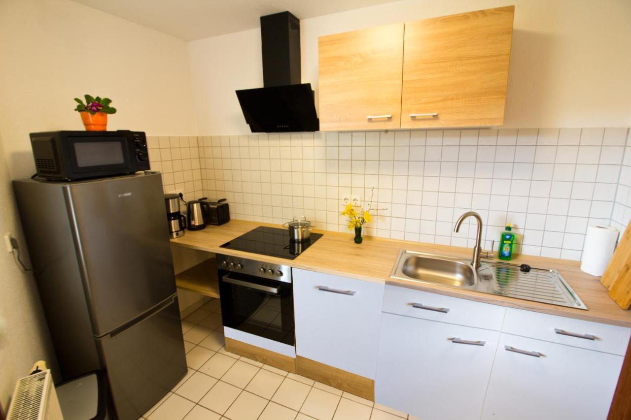 Ferienwohnung Tukan Apartment Dresden Laubegast Wlan Tv Ebike Esterno foto